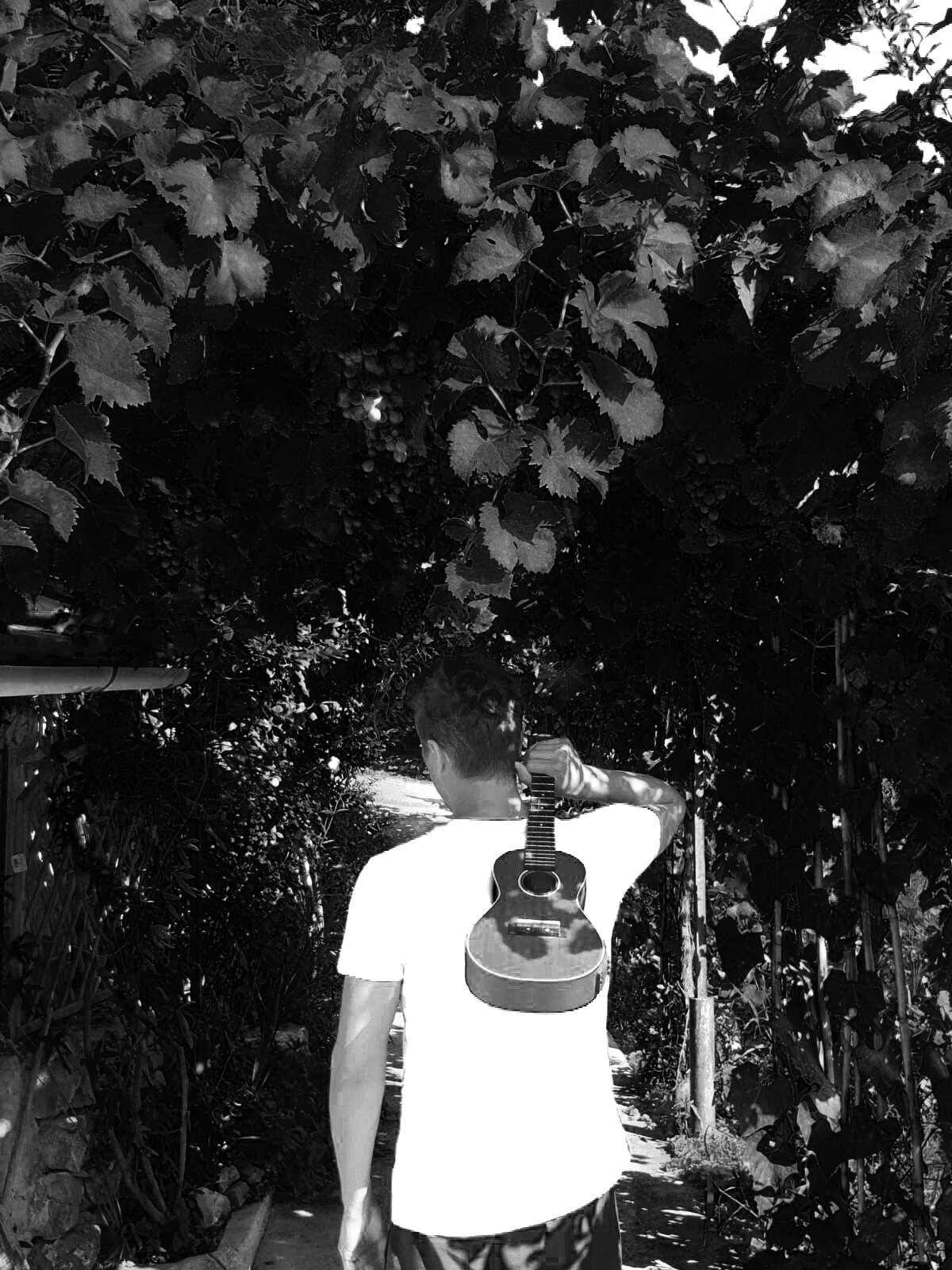 Vi presento il mio Blog Musicale Vi presento il mio Blog Musicale