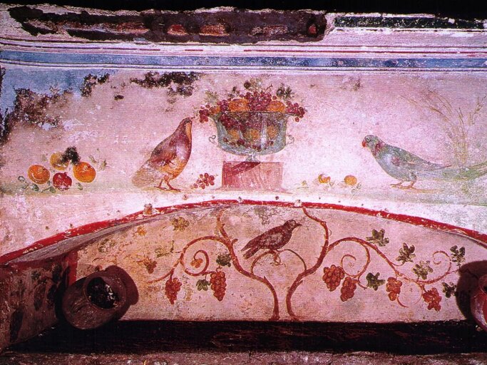 6cae6206-d523-47a0-929e-26ee8e94bae3 6cae6206-d523-47a0-929e-26ee8e94bae3