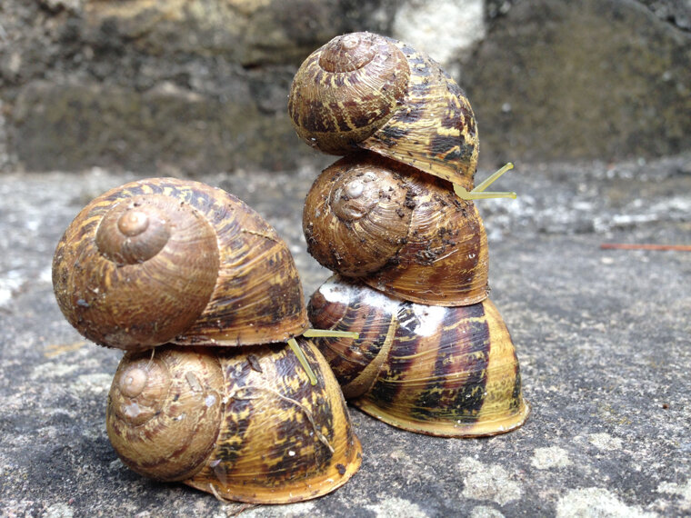 cca3657a-6abc-4c58-b725-556e75d3f97b cca3657a-6abc-4c58-b725-556e75d3f97b