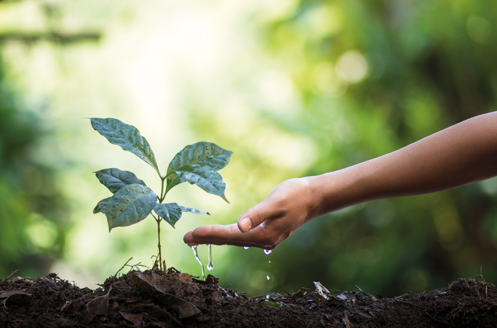 559c5e00-961e-4f5d-83cd-44c5904732a8