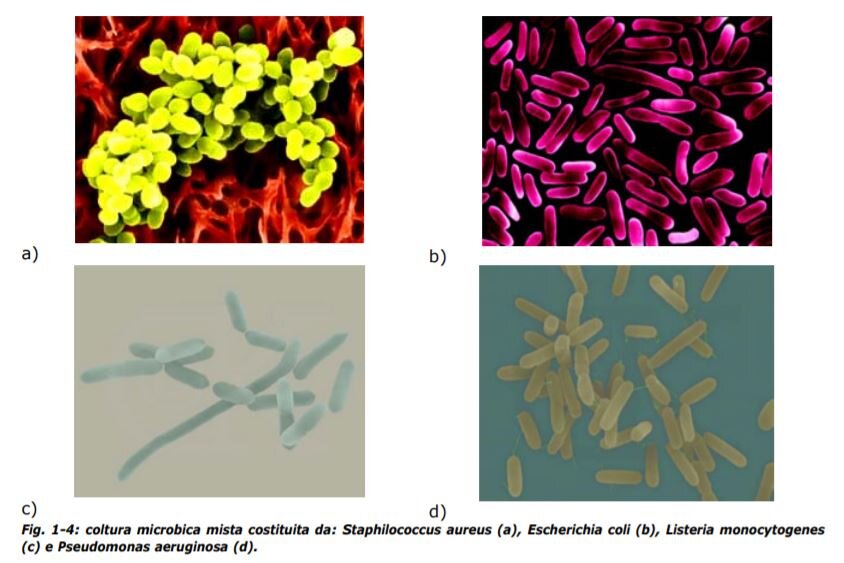 ad5b4517-6c78-40cd-8d49-7d120f70b92f.jpg ad5b4517-6c78-40cd-8d49-7d120f70b92f.jpg