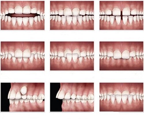 757cdbeb-11c2-446e-be27-1bb5f6909416.jpg 757cdbeb-11c2-446e-be27-1bb5f6909416.jpg