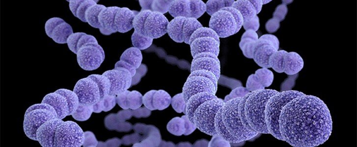 b5c9ffa9-41b3-4ea8-9889-acfb48e312b0.jpeg b5c9ffa9-41b3-4ea8-9889-acfb48e312b0.jpeg