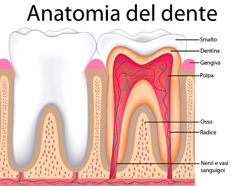 ec53bbae-06ba-44d9-8018-8a31845a0eae ec53bbae-06ba-44d9-8018-8a31845a0eae