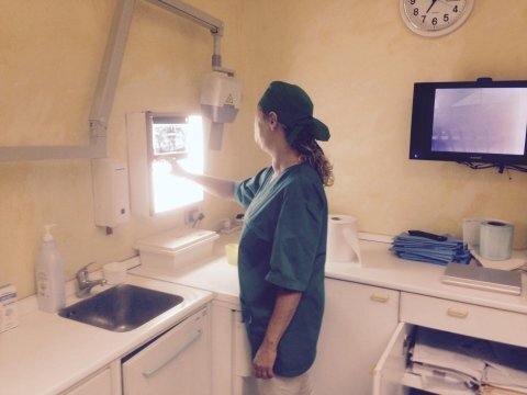 img.mtu3ntixodizng.jpeg img.mtu3ntixodizng.jpeg