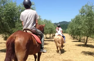 bosque-redes-trekking-krt--711x841@el comercio.webp