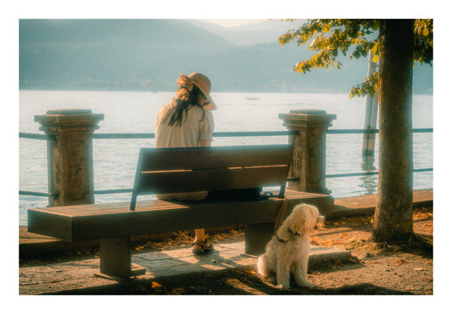 _dsc4976-2 copia.jpeg