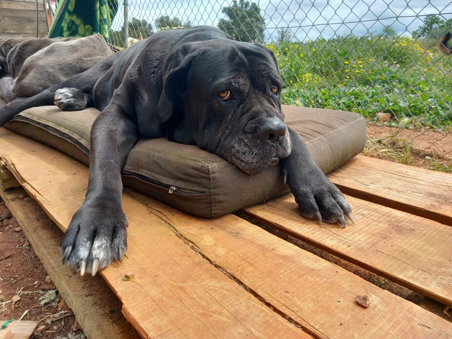 31512_c9ee35534229819ccfae80ecc9e36407763193c3