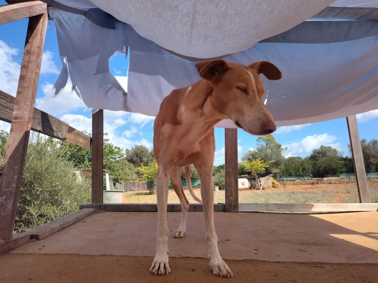 31512_f2f141bf8b754b3e42cac85edd218758ad8de018