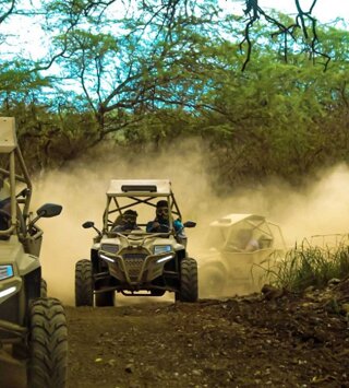 31514_46e6e824f3ba5e3cb403d8845a4af0c81b6252c9