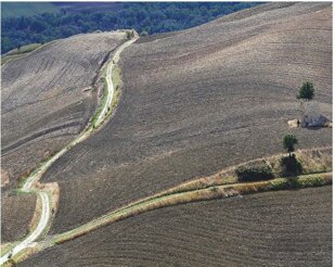 glocale-13 foto copertina buona.jpeg