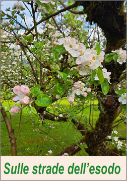 1b24a3d2-be9a-4f94-88d5-ea26b86eb1c3