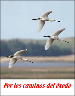 88b3ac66-5cf3-49b2-9b1f-d94396223e2f