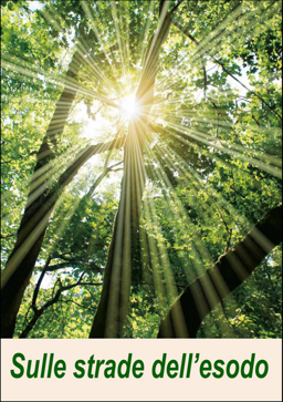 773f9449-2f5c-43e9-afc8-507db37e0873