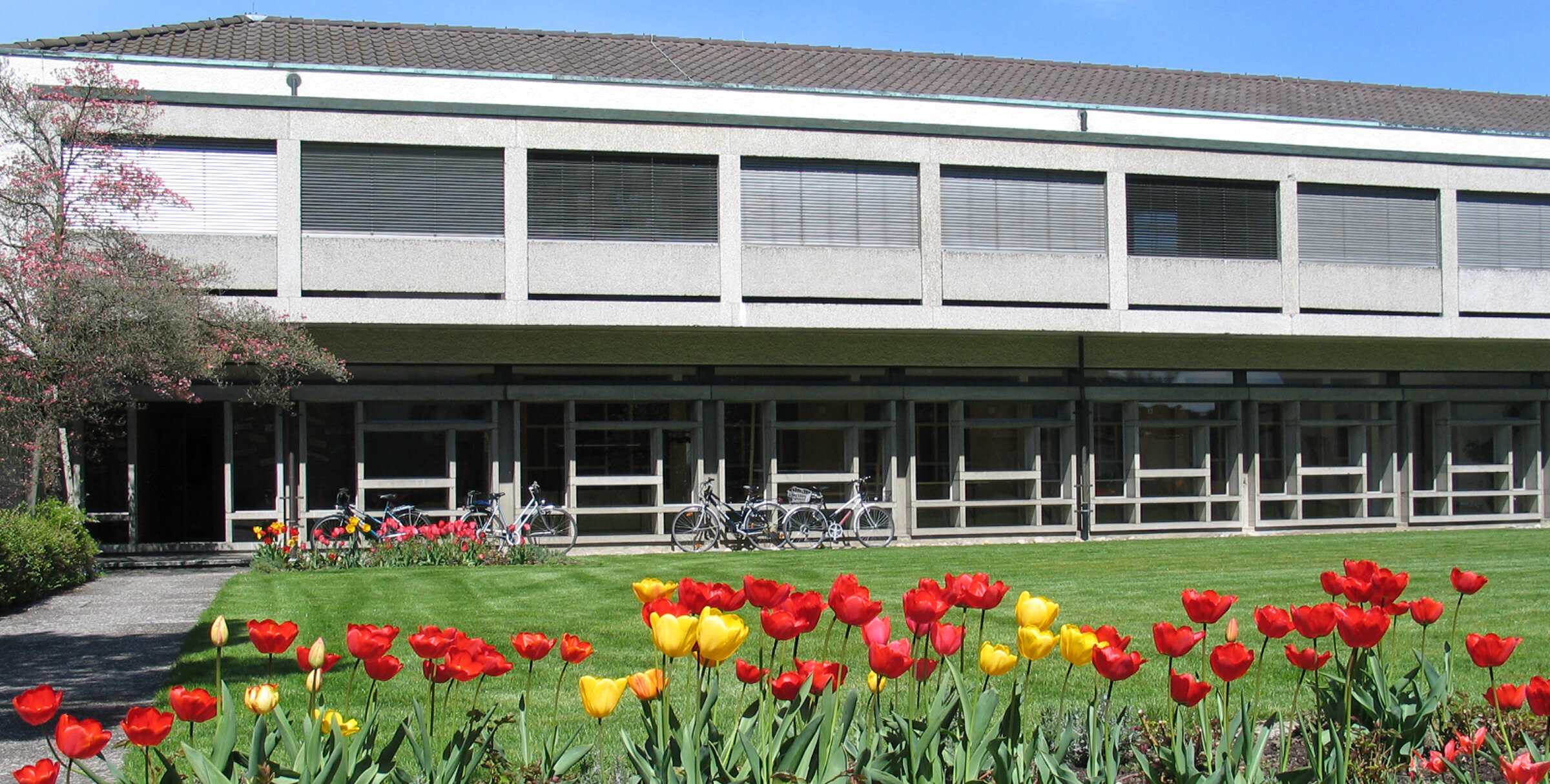 Scalabrini Fest 2023: Una speranza certa - per te, per me, per tutti Scalabrini Fest 2023: Una speranza certa - per te, per me, per tutti