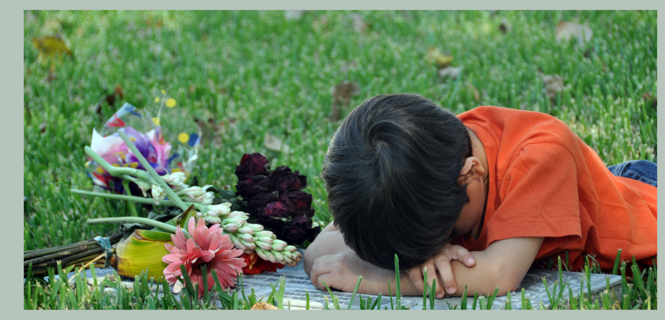 54bc1b69-7c8c-4d19-be6b-5a5d2dc2821c