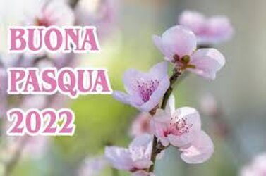 b93b54cb-1922-4e1a-a000-c059906932d1