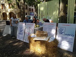 7056c193-74ff-4323-9ce1-5bd83b11fe40