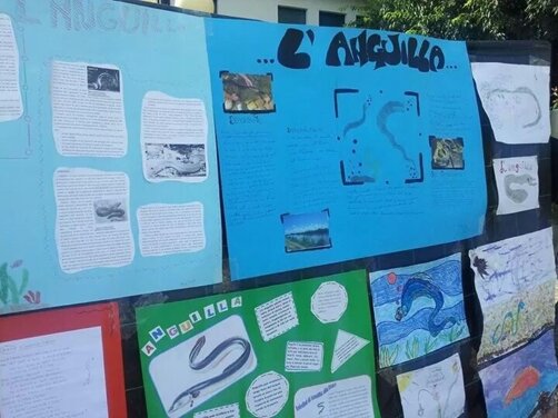 a9e6246f-5f76-44e5-b511-e736d7711ab2