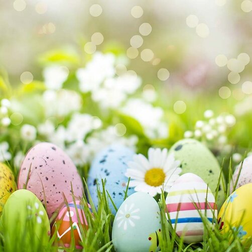 b169efb6-2a54-451c-a2ea-9490f7214489