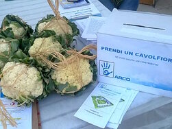 a40274eb-79a8-4434-92ef-1339eb614516