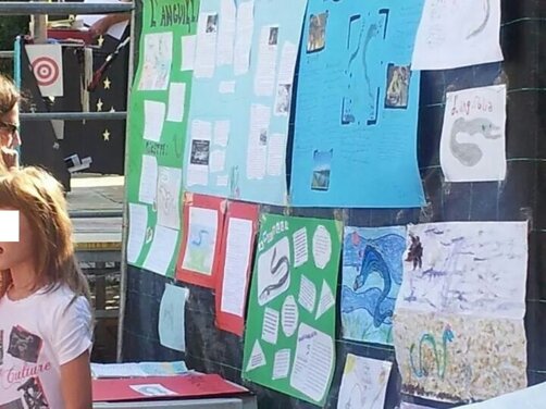 37cc68d2-76e1-47c8-857c-e189aeee1d6a