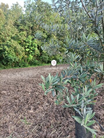 87a8f77e-9743-4e94-aa6a-6468bff02c4e 87a8f77e-9743-4e94-aa6a-6468bff02c4e