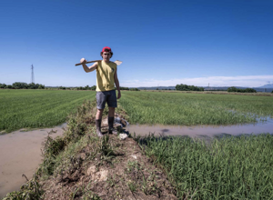 screenshot_2025_07_03_alle_10.29.17