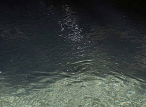 screenshot_2025_07_03_alle_10.22.44