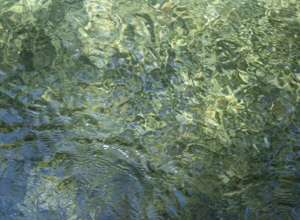 screenshot_2025_07_03_alle_10.21.20