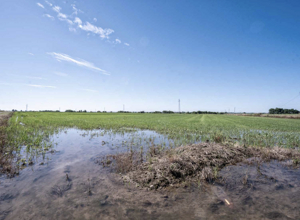 screenshot_2025_07_03_alle_10.28.25