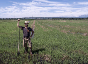 screenshot_2025_07_03_alle_10.28.58