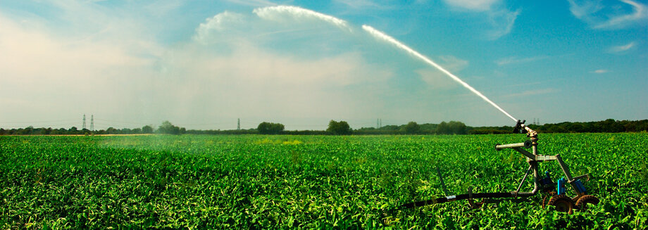 Albania &ndash; Opportunity for foreign investors to lease public agricultural land up to 99 years