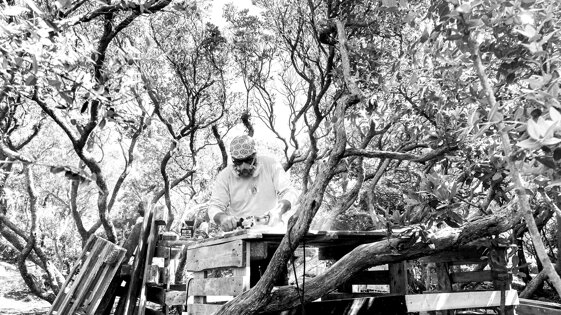 767d2e2f-b0a2-4e0f-bec0-485b8fd98003