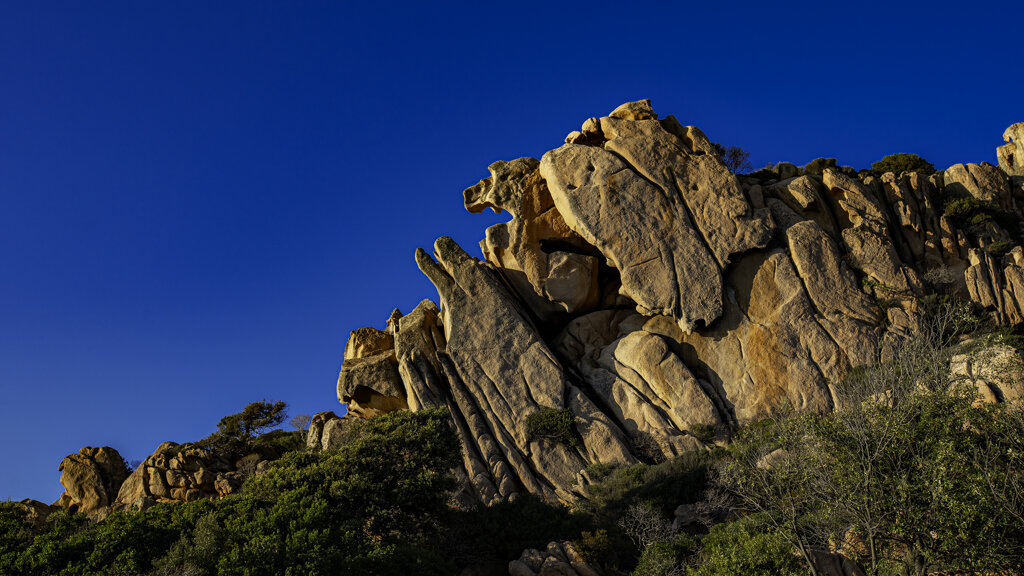 3e5d50b5-2c7b-4c97-b61b-2d0a86047254