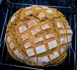 541cc054-1394-4681-9d73-5d6abb68d8a3 541cc054-1394-4681-9d73-5d6abb68d8a3