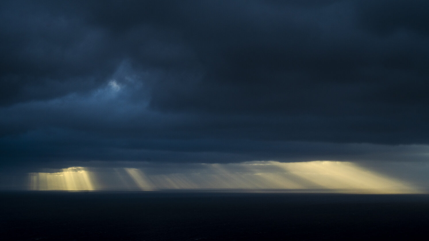 95420907-5ad8-4c1b-ae44-4e8ffc7a9d48