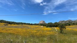 a5292708-09b1-4777-b37d-2c0575cb4449.jpeg a5292708-09b1-4777-b37d-2c0575cb4449.jpeg