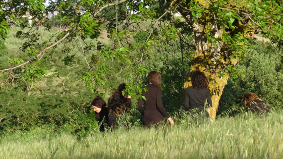 23c7ef2a-0328-4ab8-871c-e97d6cc3b4a3 23c7ef2a-0328-4ab8-871c-e97d6cc3b4a3