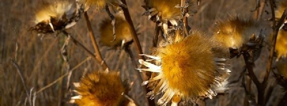 595b862d-a682-4a61-808f-1c1cc0a6ccf6 595b862d-a682-4a61-808f-1c1cc0a6ccf6