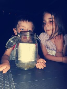 d6ab24ca-e1c8-4ada-b26a-c4415895b0a2 d6ab24ca-e1c8-4ada-b26a-c4415895b0a2