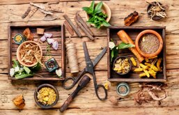 b026c8b1-d8e8-4781-9608-660ef710ff58 b026c8b1-d8e8-4781-9608-660ef710ff58