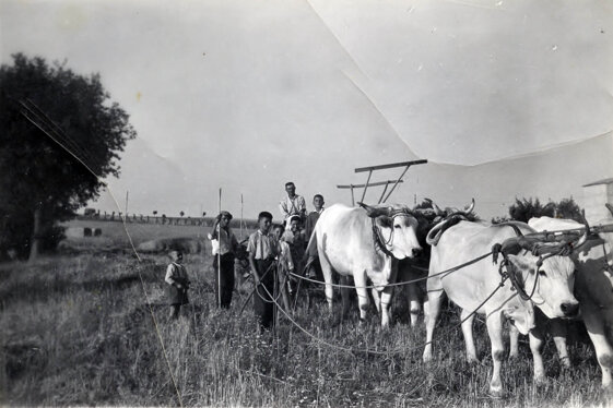 e4624c4f-3bda-491c-ad5d-1950d8972e33