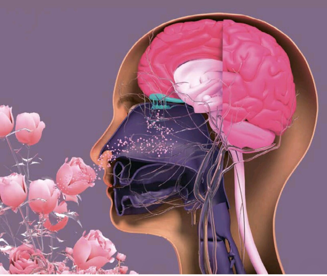 MENTAL HEALT COUNSELOR AI-ASSISTED - Psicologo da remoto MENTAL HEALT COUNSELOR AI-ASSISTED - Psicologo da remoto