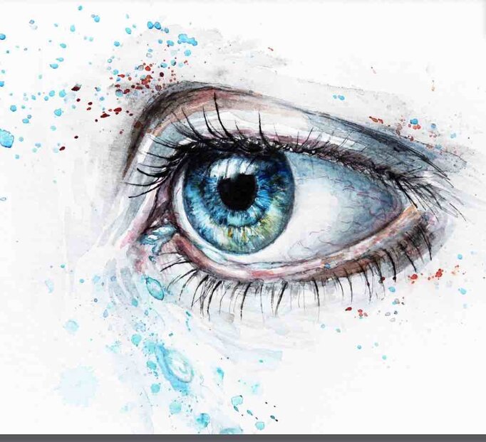 38aa75b8-74f1-4ac4-af68-03cb52541382