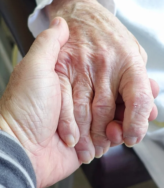 35dc2496-c344-446d-9176-8f04843896bc