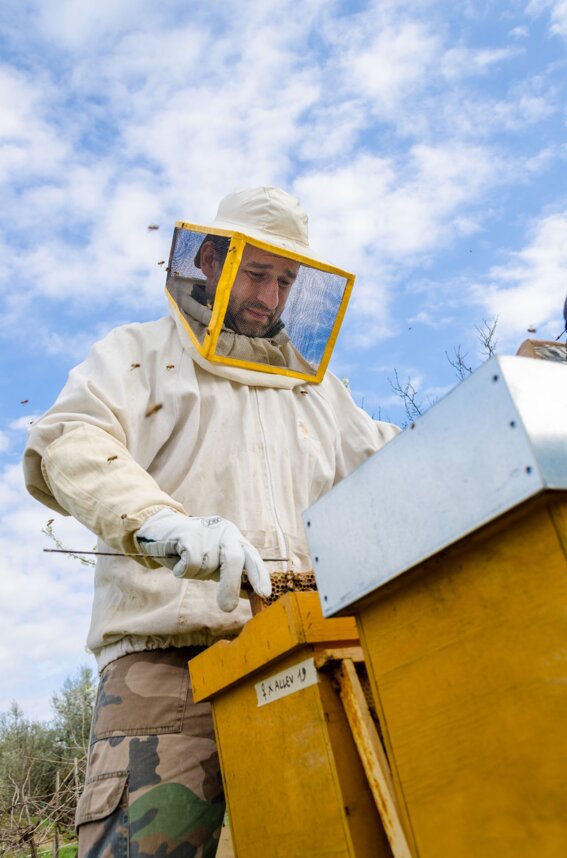 26d9a203-af5d-4c09-88d4-bd09d0db8c27 26d9a203-af5d-4c09-88d4-bd09d0db8c27