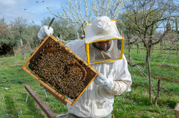 7a56a3c7-594b-4462-b9ca-c13fe3930873