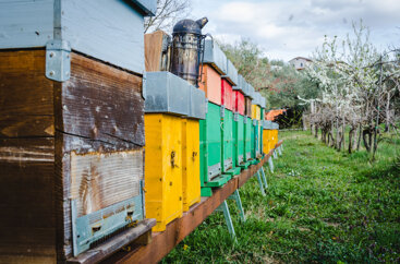 cd37db6f-ecd6-4359-97df-3b0e7795ee36