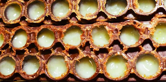 72048189-3921-4dbd-a935-415b16259ed2